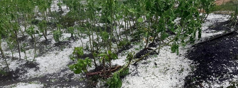 Benefício do Garantia-Safra será de R$ 1,2 mil na colheita 2022/2023