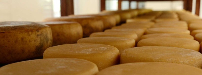 Inscrições para o Concurso Estadual de Queijo Minas Artesanal serão abertas na segunda-feira (17/10)