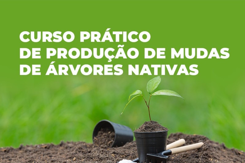Secretaria de Meio Ambiente abre inscrições para curso de produção de mudas de árvores nativas