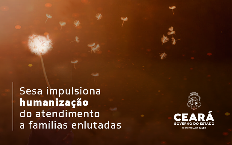 Saúde do Ceará tem programação para sensibilizar sobre perda gestacional, neonatal e infantil