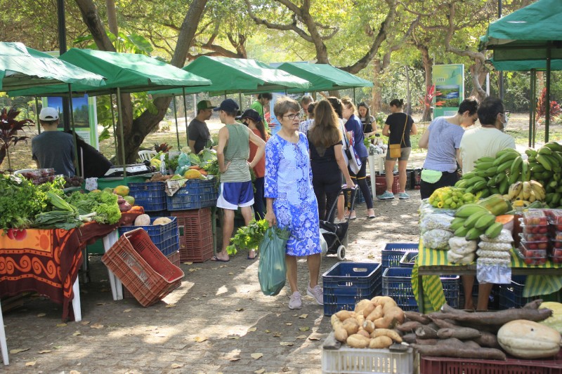 Neste sábado (22), tem Feira Agroecológica no Parque do Cocó