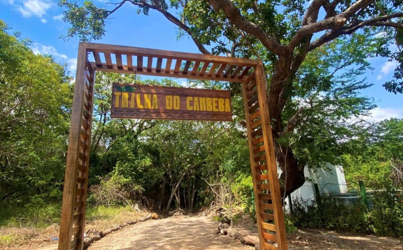 Seplag e Sema inspecionam trilha ecológica do Cambeba