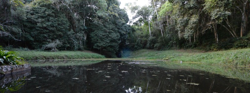 Governo publica decreto para criação do Parque Estadual Mata do Krambeck