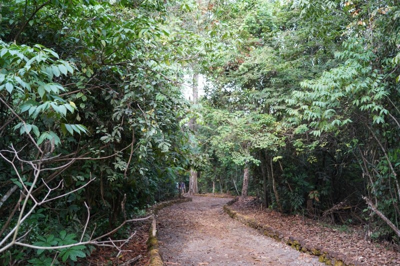 Secretaria de Agricultura e Meio Ambiente promove limpeza no Lago Ernani Machado e na trila do Parque dos Buritis