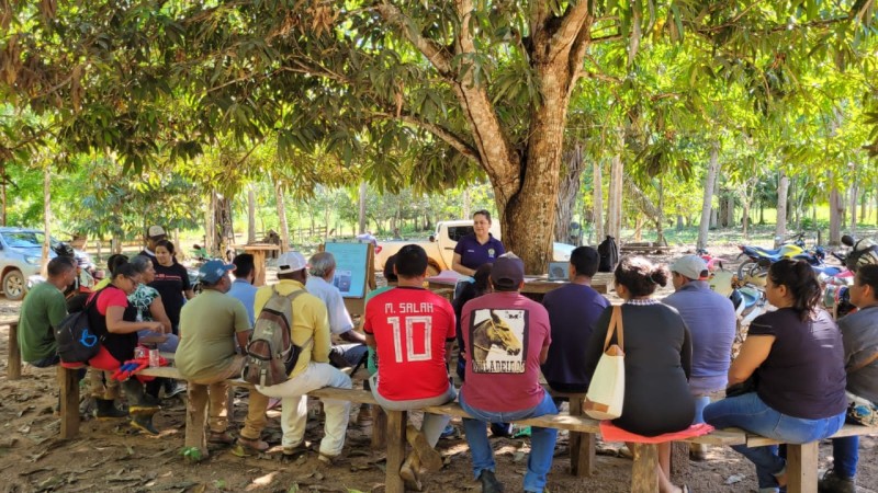Produtores e extrativistas realizam capacitação em boas práticas na produção da castanha