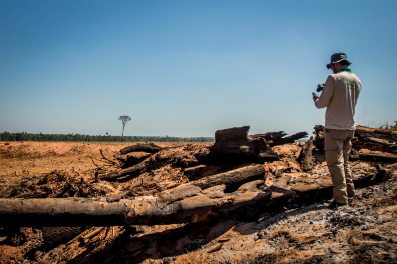 Mato Grosso aplicou R$1,2 bilhões em multa por crime ambiental em 2022