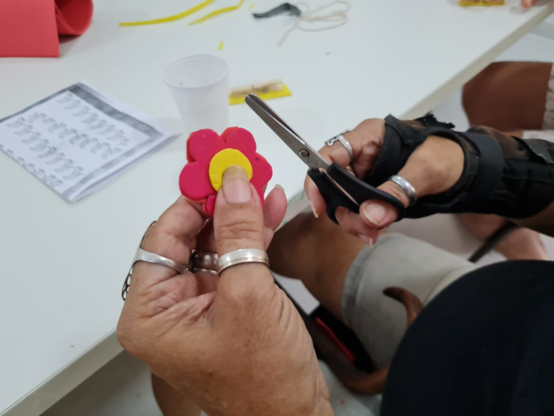 CAPS e suas Oficinas Terapêuticas