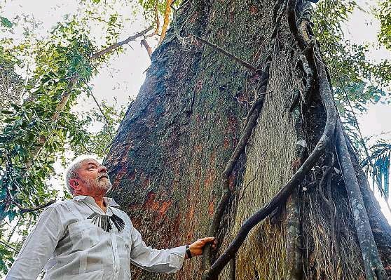 Lula participará da Conferência da ONU sobre Mudanças Climáticas.