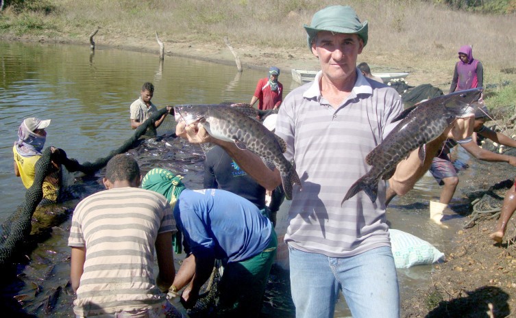 Governo do Tocantins apresenta em workshop as principais políticas públicas para piscicultura no Estado