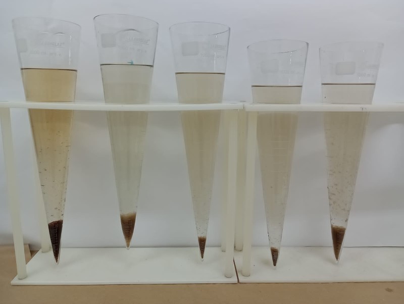 Pesquisa apoiada pelo Governo do Amazonas desenvolve alternativas para aumento da produção de peixes