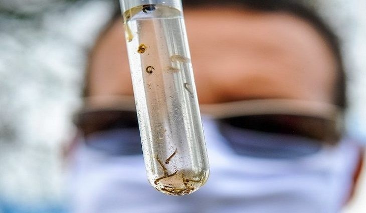 ‘Dia D’ de combate à Dengue acontece nesta quinta-feira no Parque Ayrton Senna