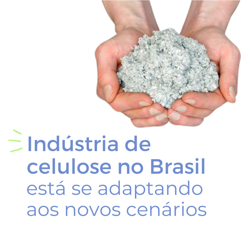 Produção de papel tissue tornou-se setor importante da economia brasileira