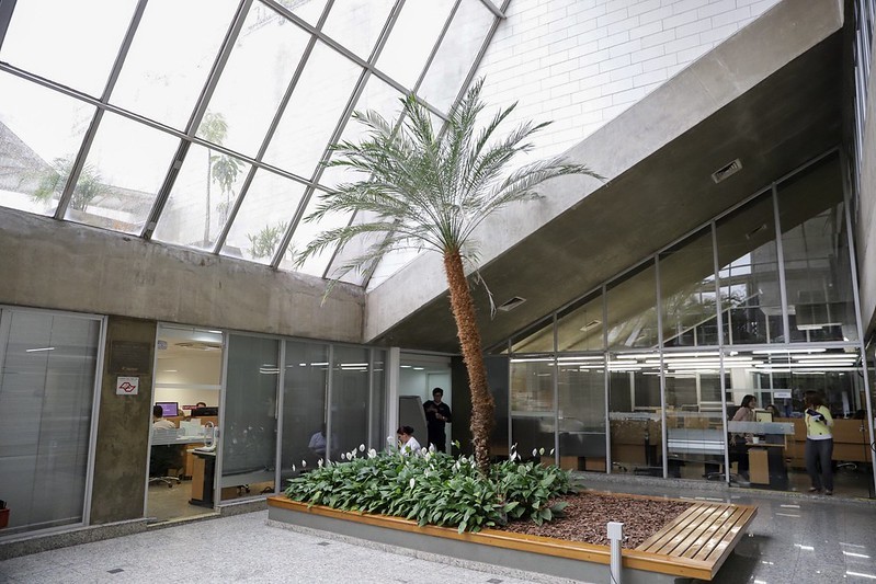 Iniciativa Amazônia +10 seleciona 39 projetos de pesquisa