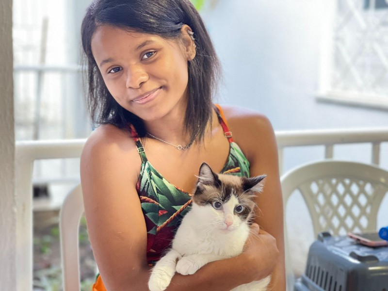 SMS e UniFTC realizam ação de castração de animais acolhidos por ONGS e protetores