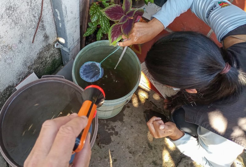 Dia D de combate à dengue será neste sábado (19) em Vila Nova de Cima
