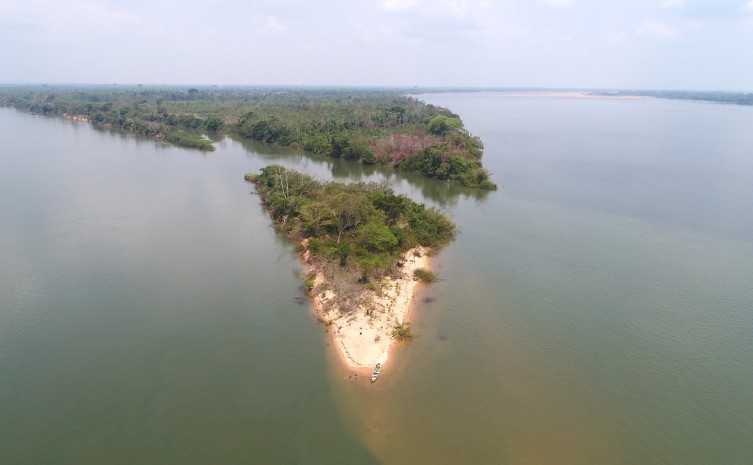 Câmara Técnica Jurídica aprova minutas dos Projetos de Lei que instituem o Fundo Clima e o Pagamento por Serviços Ambientais