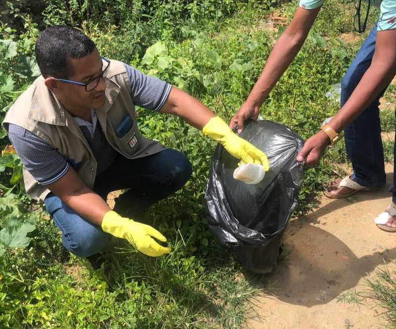 O verão está chegando, hora de se prevenir da dengue