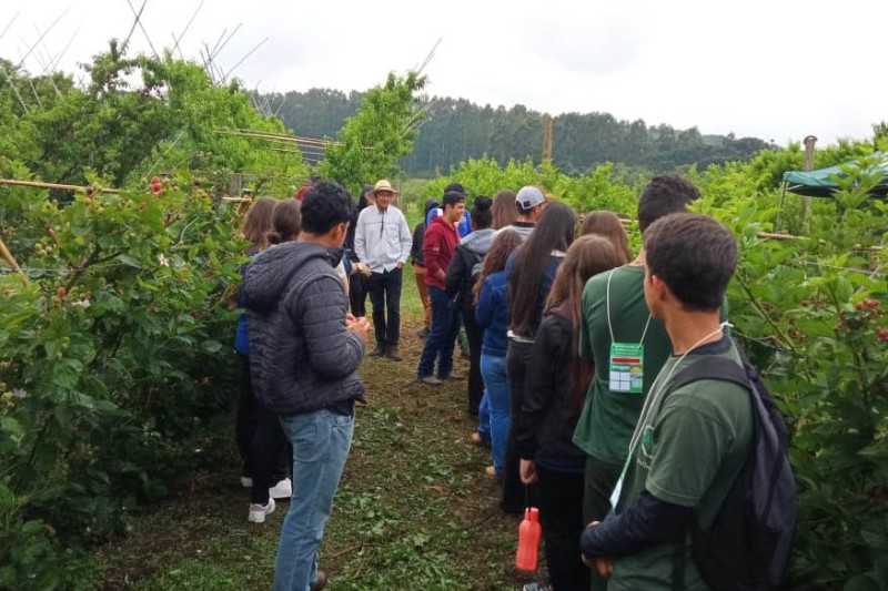 Semana Frutifica Paraná leva 500 estudantes de escolas agrícolas à Estação do IDR-Paraná