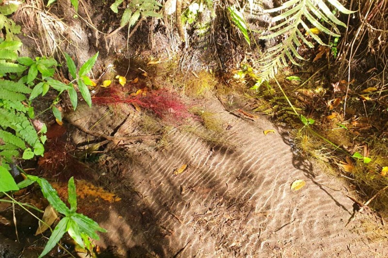 Estado apresenta resultado das ações de preservação na Bacia do Miringuava