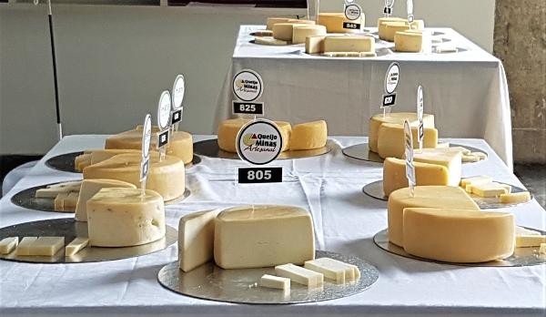 Final do Concurso Estadual de Queijo Minas Artesanal será no dia 30/11
