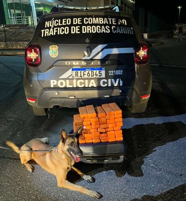 Polícia Civil apreende 30 quilos de maconha na divisa entre o Ceará e Pernambuco