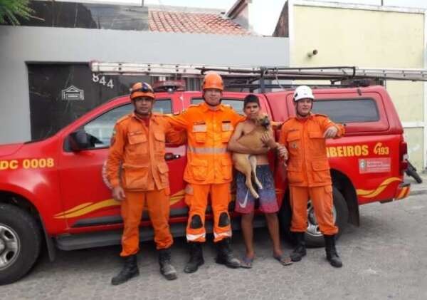Corpo de Bombeiros resgata cadelinha presa entre paredes de uma residência em Sobral