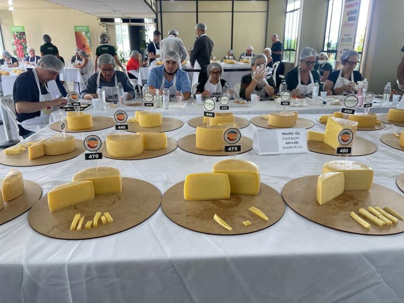Produtores disputam fase decisiva do Concurso Estadual de Queijo Minas Artesanal