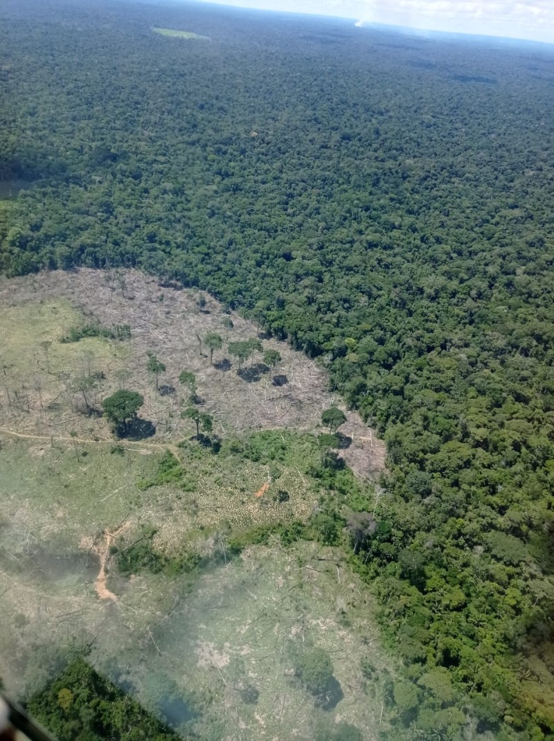 Em um ano, desmatamento cai 4,72% no Acre