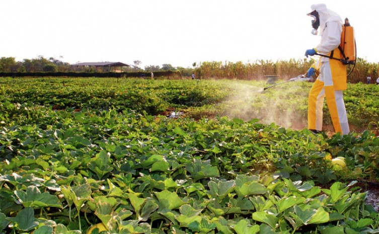 Governo do Tocantins chama atenção para os riscos de intoxicação no Dia Internacional de Luta Contra os Agrotóxicos