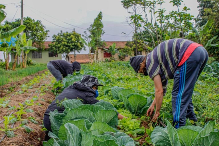 Relator setorial da Agricultura indica áreas prioritárias para recomposição orçamentária