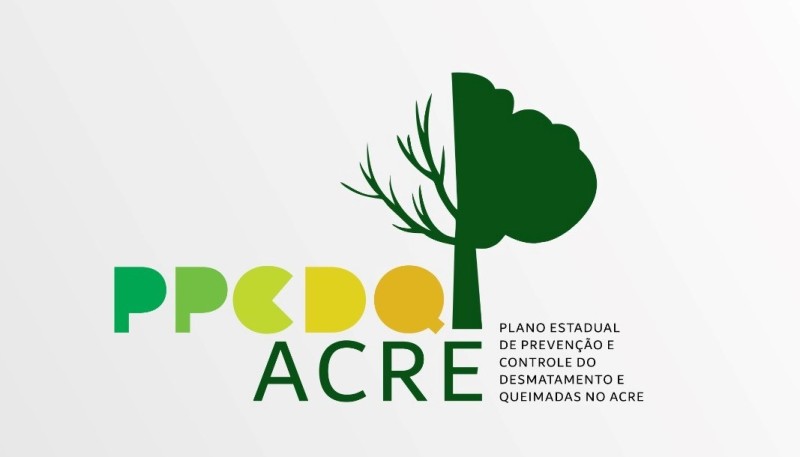 Comitê reelabora plano de prevenção e controle de desmatamento e queimadas esta semana