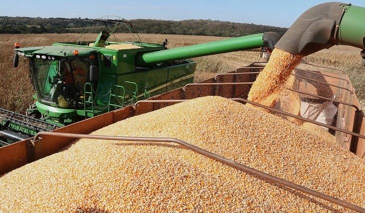 Exportações de MS crescem 19,86% em 11 meses, com desempenho forte de itens industrializados