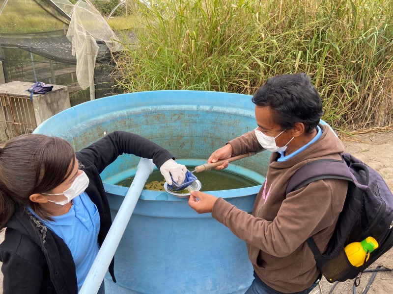 Com as chuvas, índice de infestação do Aedes aegypti aumenta no município