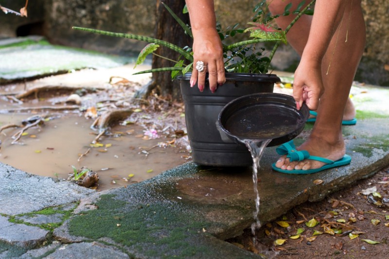 SES reforça cuidados contra a dengue e outras arboviroses 