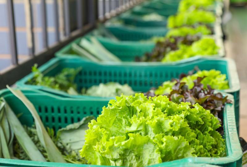 Mais R$ 4,5 milhões investidos na agricultura familiar