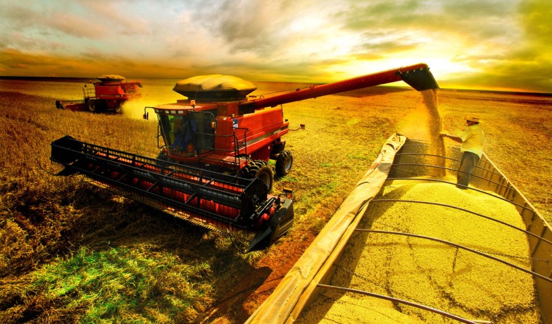 Minas bate novo recorde e exportações do agro atingem US$ 14,2 bilhões