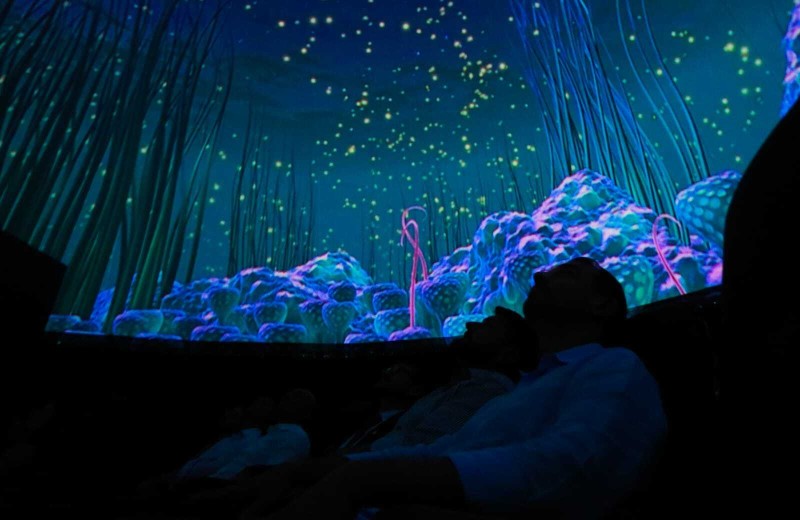 Conheça as reportagens vencedoras do 2º Prêmio Fapesc de Jornalismo em CTI