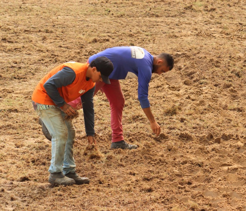 Arena Castelão está com nova grama plantada