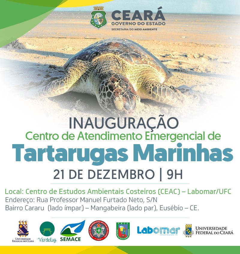 Ceará passa a contar com Centro de Atendimento Emergencial às Tartarugas Marinhas