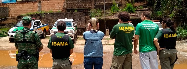 Acordo entre Semad e Ibama amplia ações de inteligência na fiscalização ambiental em MG
