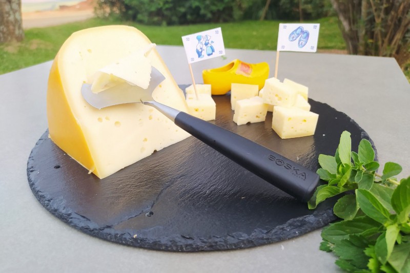 Em um ano, Rota do Queijo Paranaense foi visitada por cerca de 2 mil pessoas