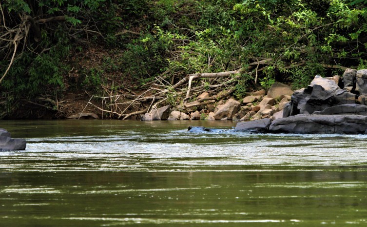 Governo do Tocantins é destaque no âmbito nacional e internacional na gestão do Meio Ambiente e Recursos Hídricos em 2022
