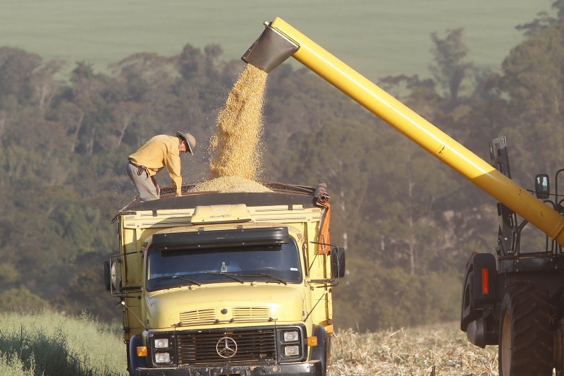 Agricultura divulga primeiras estimativas para a segunda safra 2022/2023 no Paraná