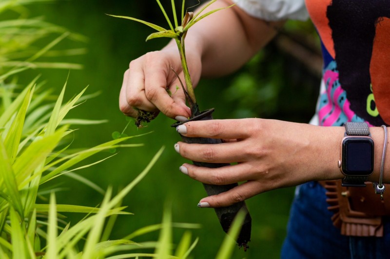Com o programa REM, Acre experimenta uma verdadeira quebra de paradigmas em seu modelo de desenvolvimento
