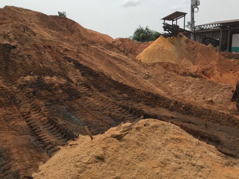 Resíduos de madeira têm potencial para inibição de fungos e cupins, aponta pesquisa fomentada pela Fapeam