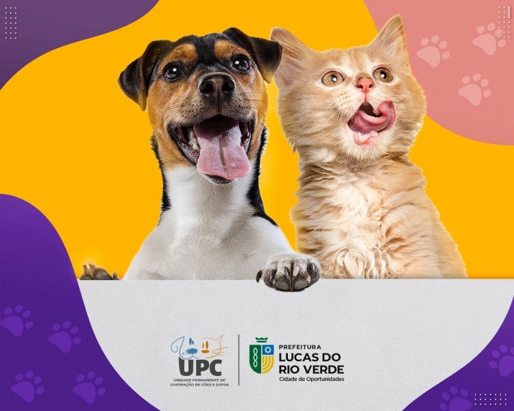 Projeto de castração do Município atendeu mais de 700 animais este ano