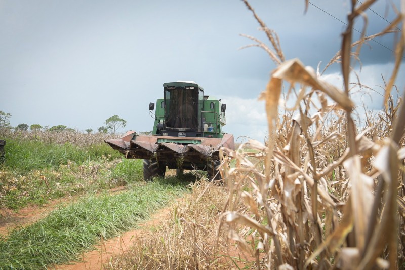 Durante a gestão, Secretaria de Produção e Agronegócio mostrou o fortalecimento das cadeias produtivas no Acre