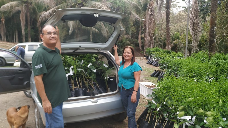 Distribuição de mudas pode transformar Belo Oriente em grande produtor de frutas