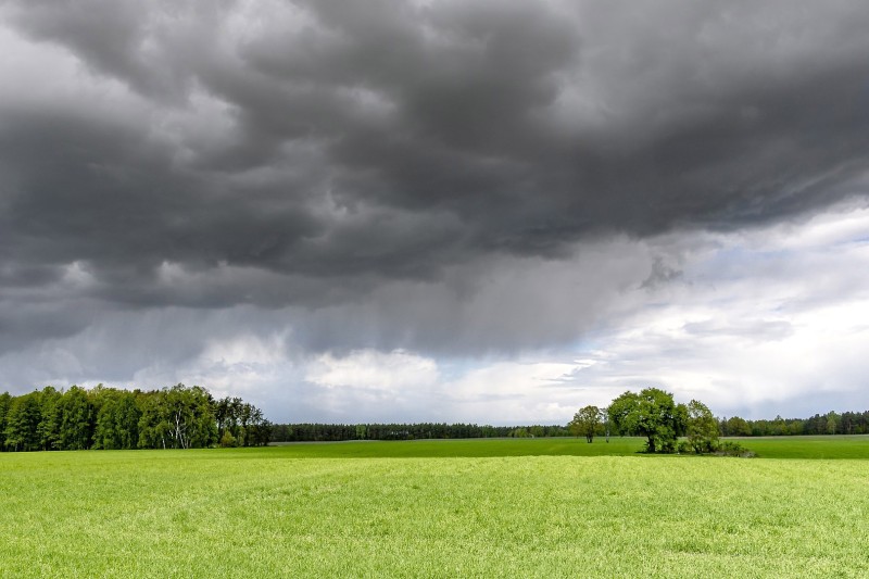 Mesmo com chuvas irregulares, IDR-Paraná aponta dezembro saudável no campo