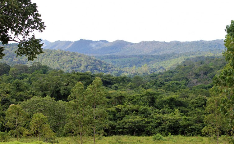 Governo do Tocantins sanciona leis que incentivam a preservação ambiental e viabilizam o mercado jurisdicional de carbono no Estado